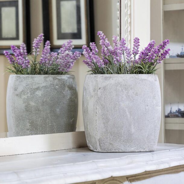 lavender bedroom plant