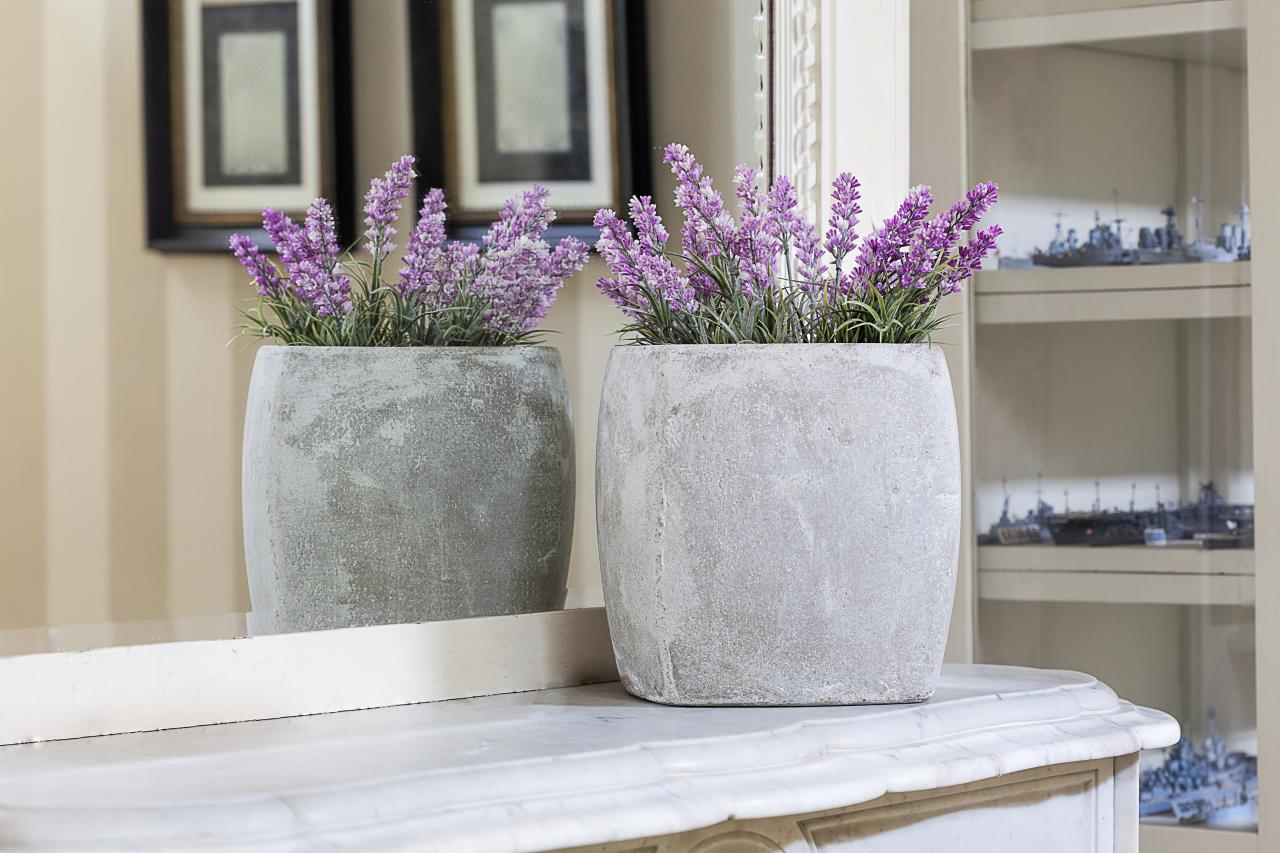 lavender bedroom plant